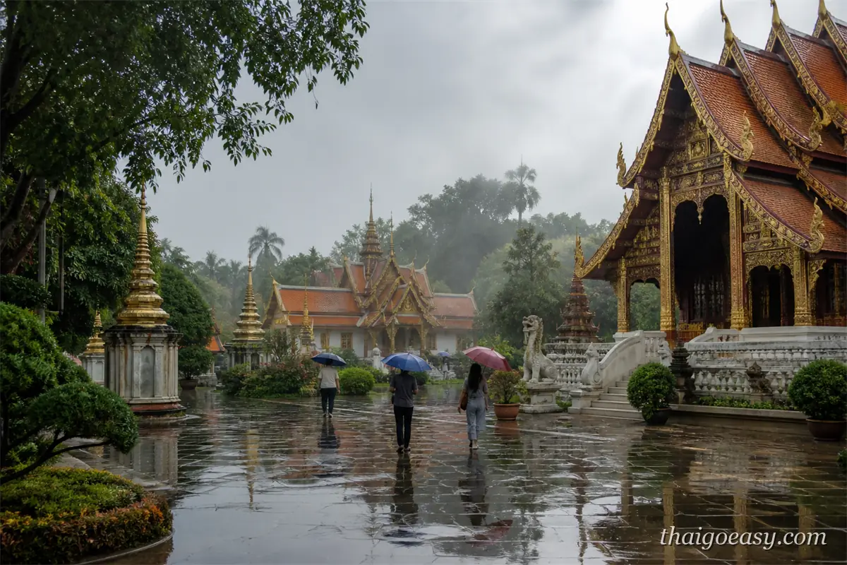 雨後的泰國寺廟庭院，水氣氤氳、少數遊客撐傘走過