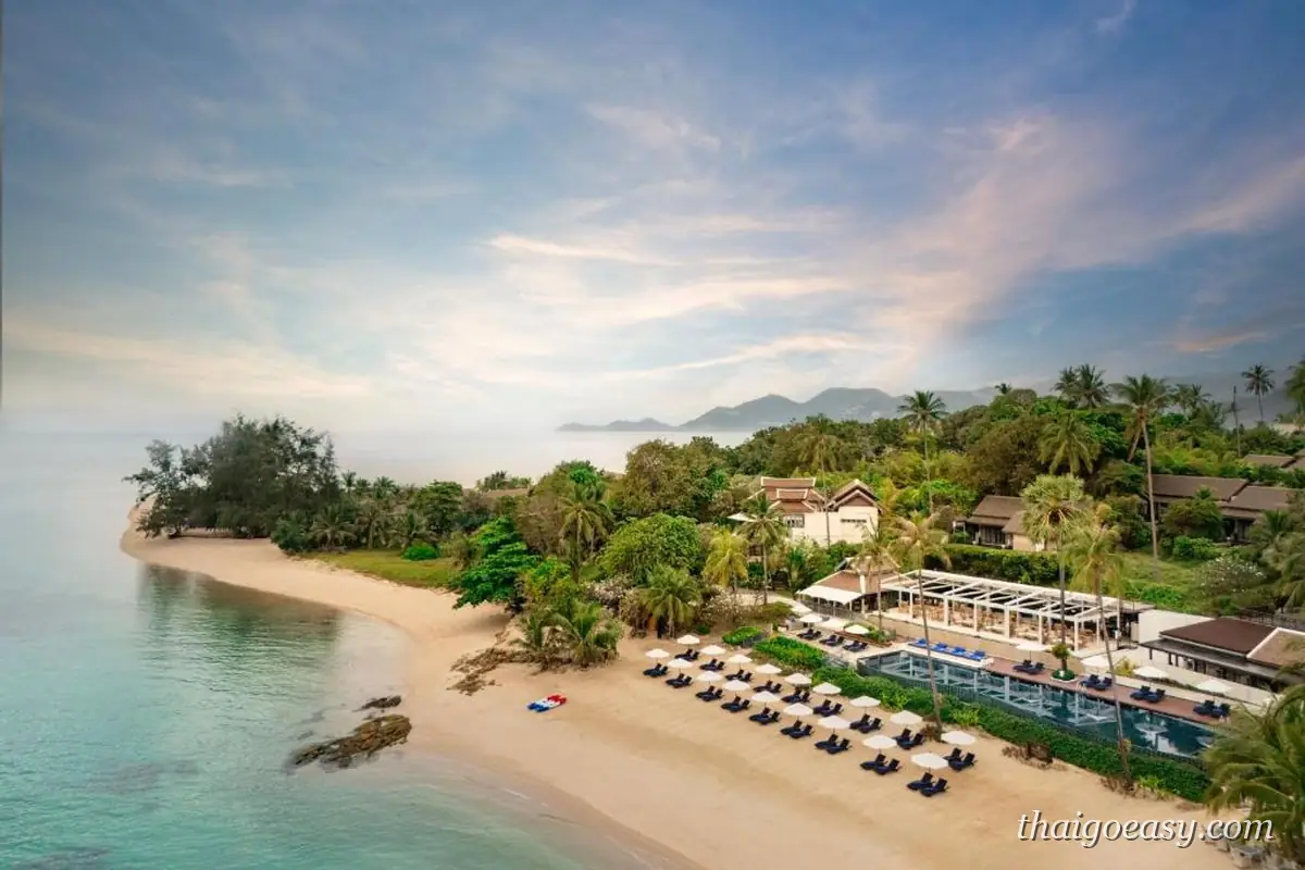 空拍 Anantara Lawana Koh Samui Resort，白沙灘上排滿躺椅與遮陽傘，度假村建築藏在椰林後方，右側有泳池與臨海餐廳平台