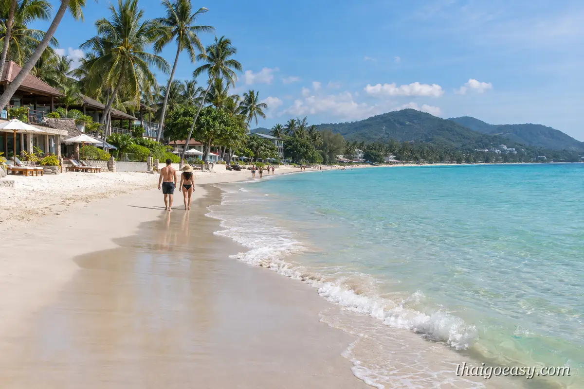 查汶海灘的白沙與清澈海水，一對旅客沿著浪線散步，岸邊是度假村與椰子樹，遠方是山丘