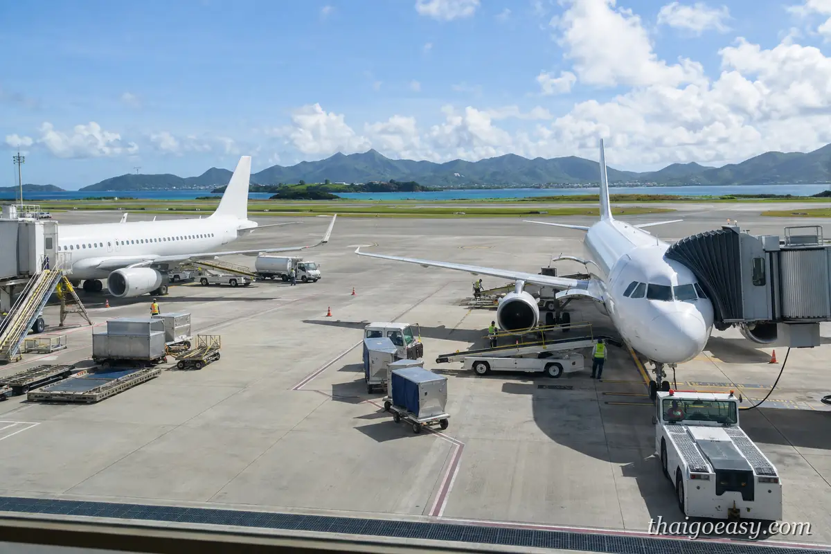 機場停機坪上兩架接好空橋的客機與地勤作業車輛，遠方是山與海